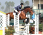 Architekt-Gelding-2005-Jumper-Equitation-horse-in-California